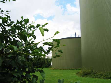 Read more about the article NOVI Energy Appoints Rob Zeldenrust V-P of Business Operations and General Manager of Fremont Community Digester