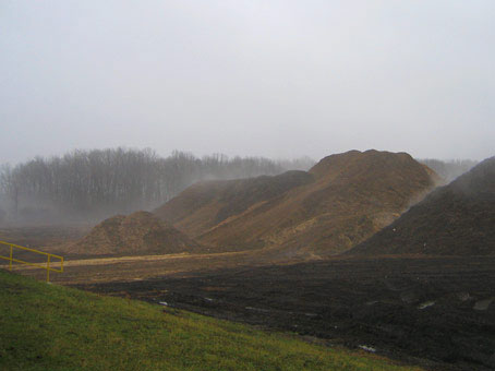 NOVEC Biomass Plant Successfully Generates Electricity in Test