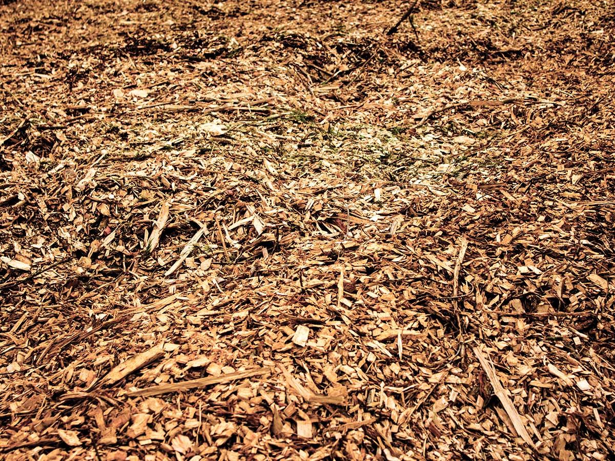 Read more about the article Newberry Renewable Energy Project