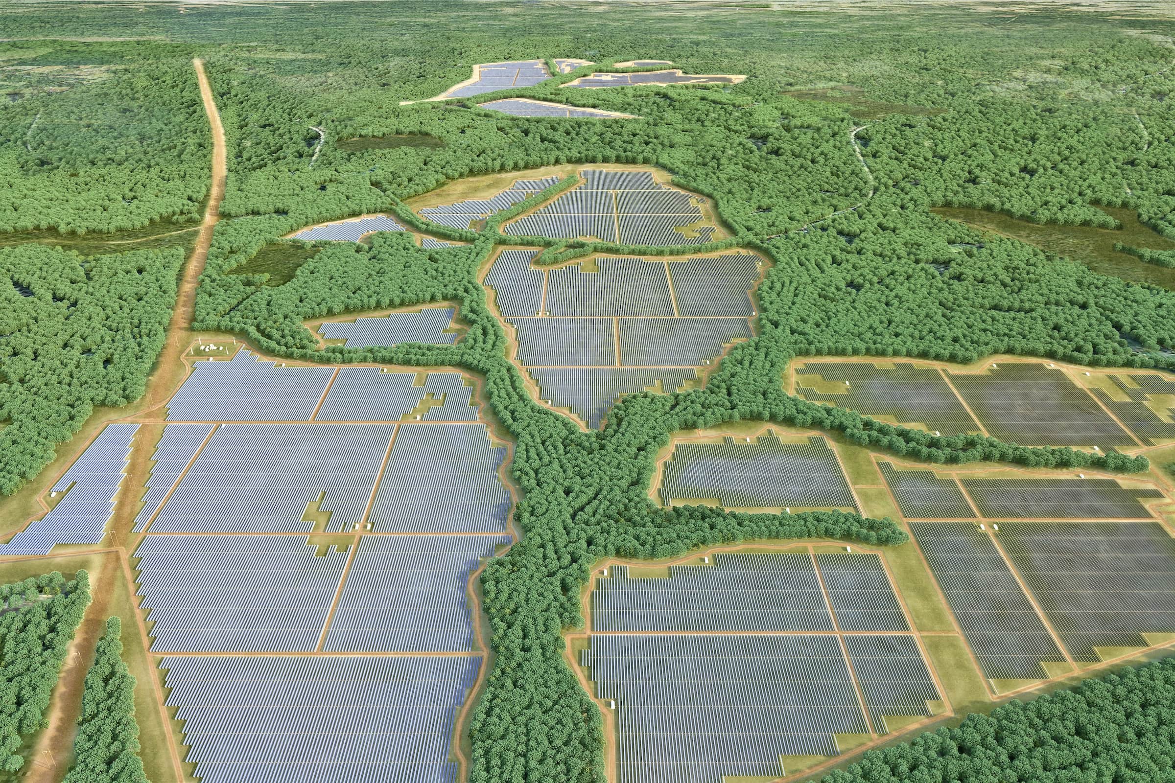 Read more about the article Tall Pines Solar