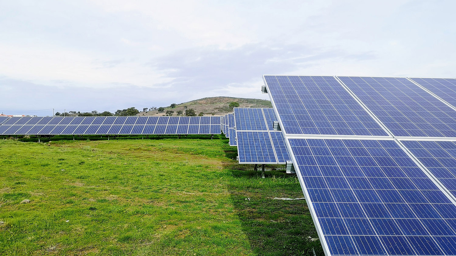 Read more about the article NOVI Energy and Osaka Gas USA Corporation Form Joint Venture to Develop Solar Power and Energy Storage